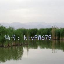 ƻ