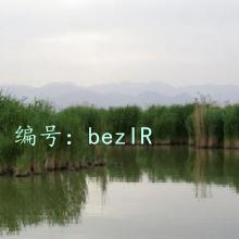 û