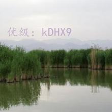 ƻ