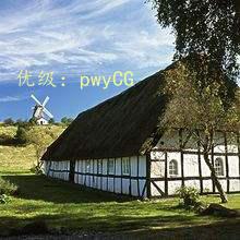 ЧӦ