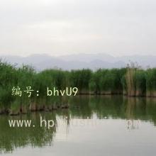 ǰ