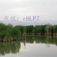 ǰ