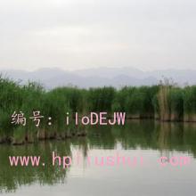 ǧ